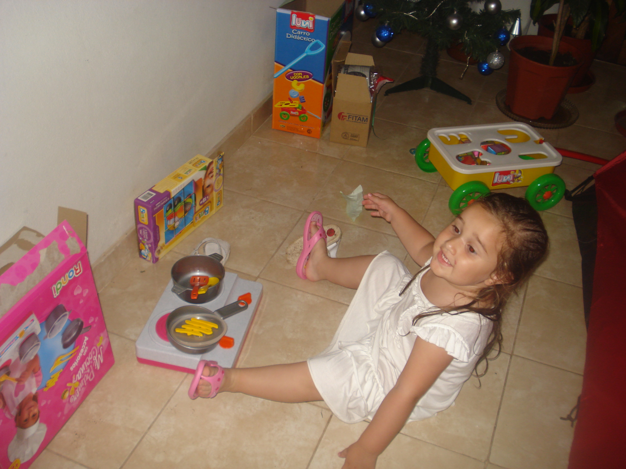 fotos/2012-12-24 - Navidad y pileta/DSC05101.JPG